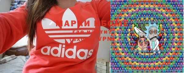 стаф Касимов