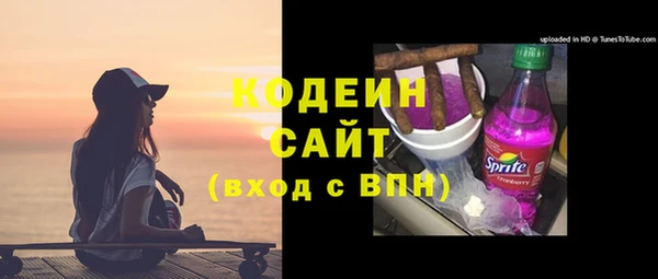 стаф Касимов