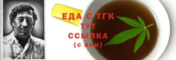 стаф Касимов