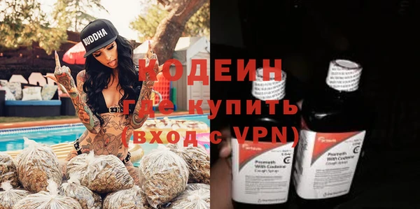 стаф Касимов